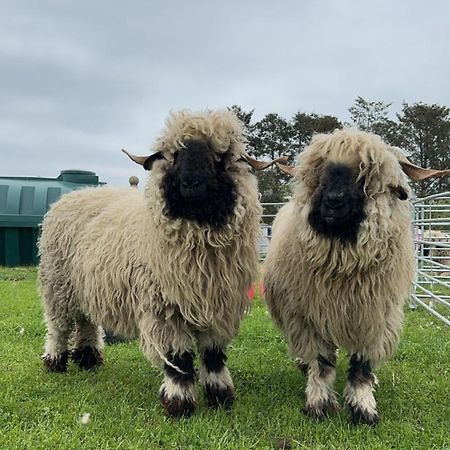 Glampods Glamping Pod - Meet Highland Cows And Sheep Elgin Villa Екстериор снимка
