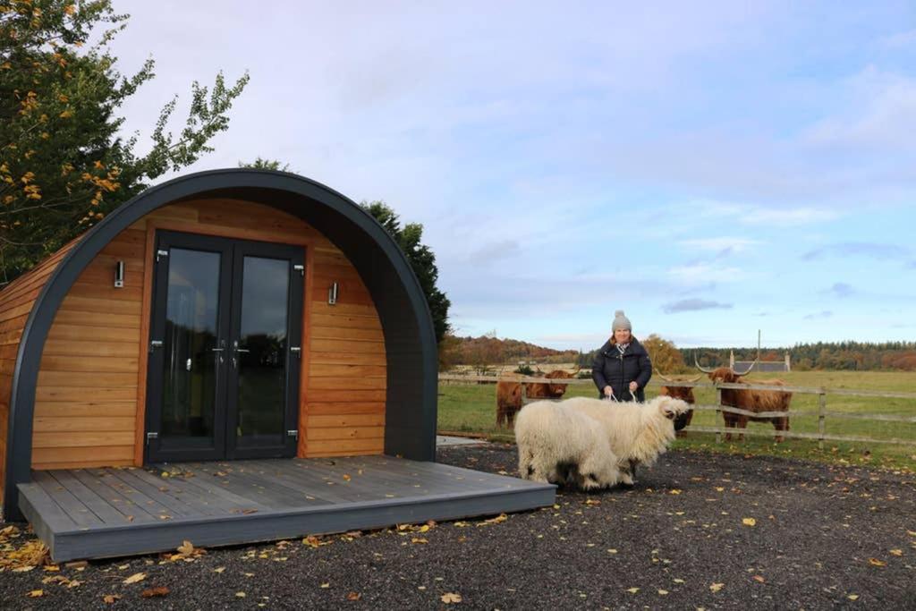 Glampods Glamping Pod - Meet Highland Cows And Sheep Elgin Villa Екстериор снимка