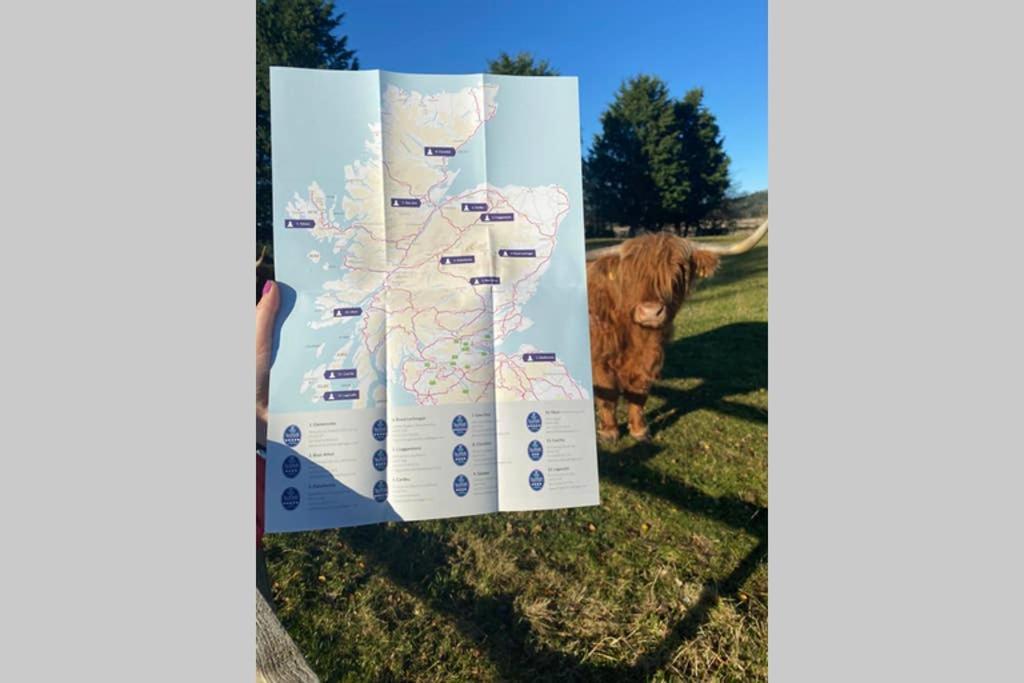 Glampods Glamping Pod - Meet Highland Cows And Sheep Elgin Villa Екстериор снимка