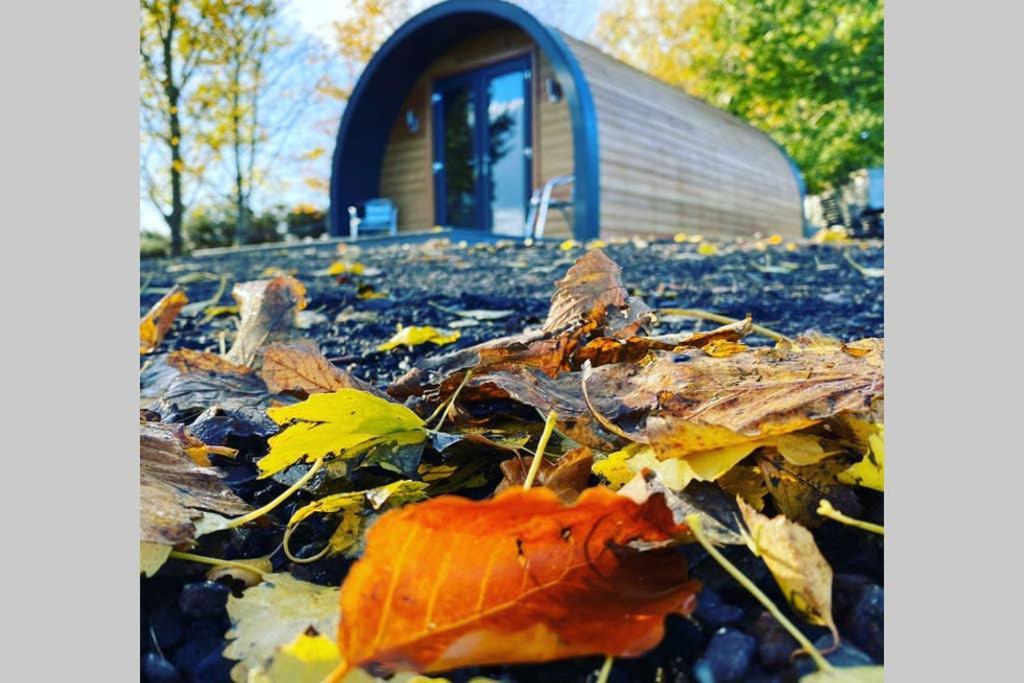 Glampods Glamping Pod - Meet Highland Cows And Sheep Elgin Villa Екстериор снимка
